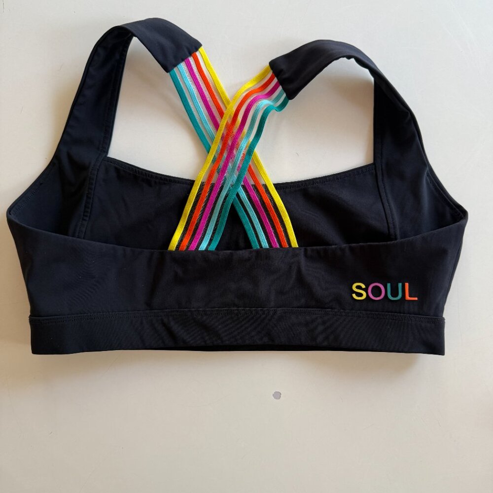 EUC SoulCycle Bra - W size L - like-new condition
